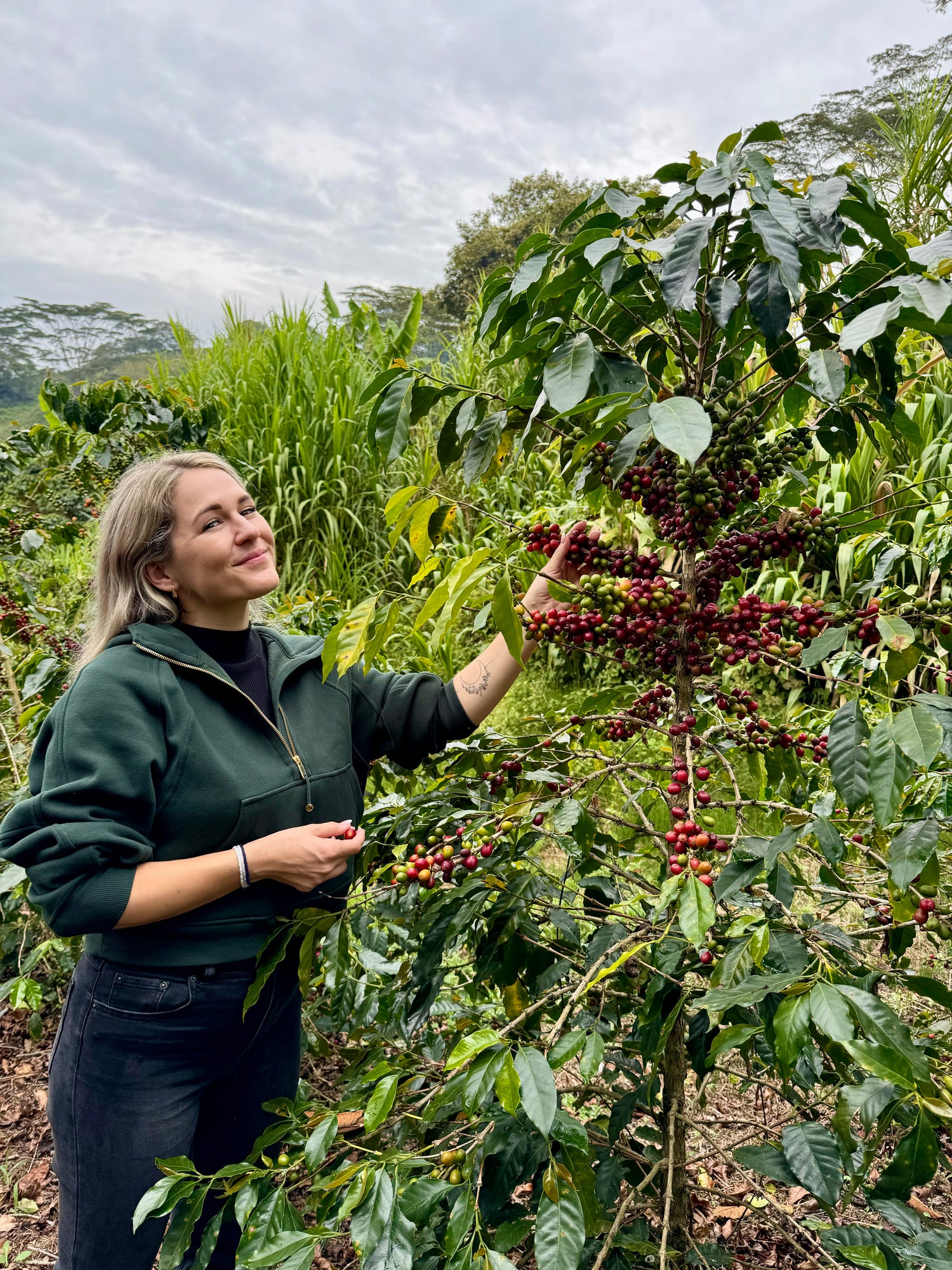 Vera Richartz hält eine frisch gepflückte Kaffeekirsche auf der Cofitur-Finca in Kolumbien – Nähe zur Herkunft des Kaffees erlebbar gemacht