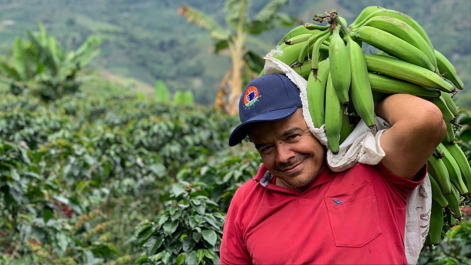 Kaffee Finca Cofitur Kaffeereise Vera Richartz Kolumbien