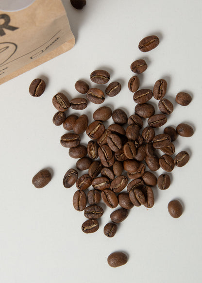 100% Arabica Filter X1