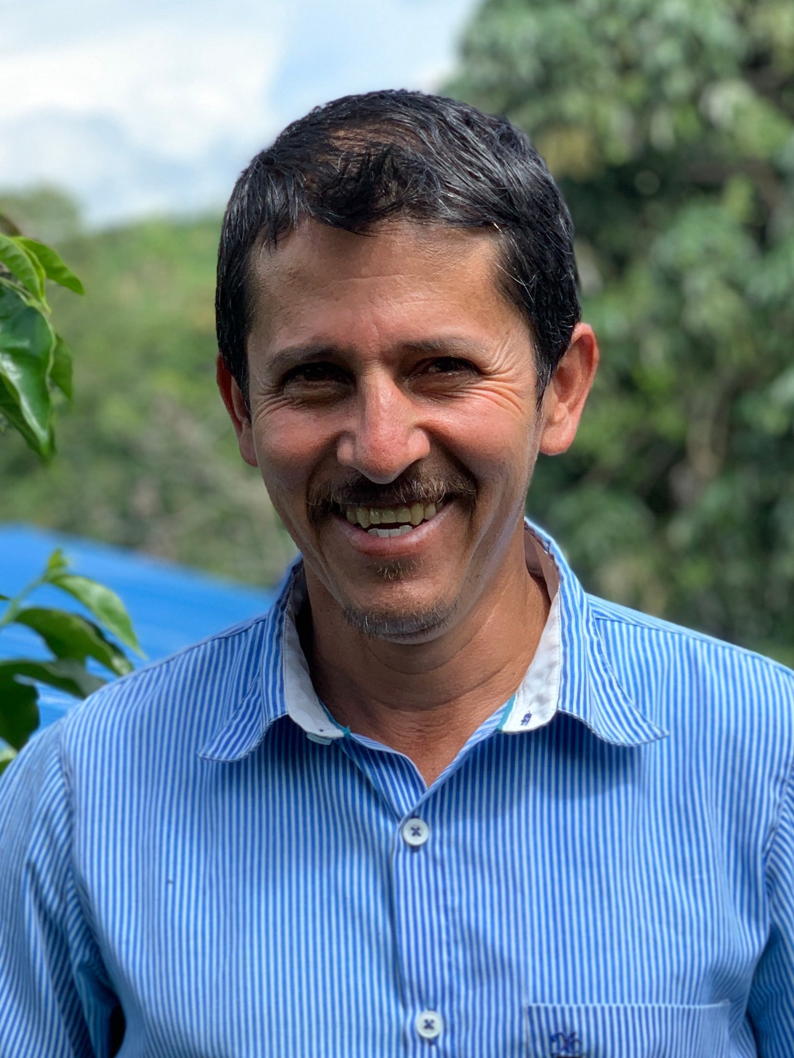 Green Coffee from Colombia Specialty Coffee Vera Richartz Fred Bertolone