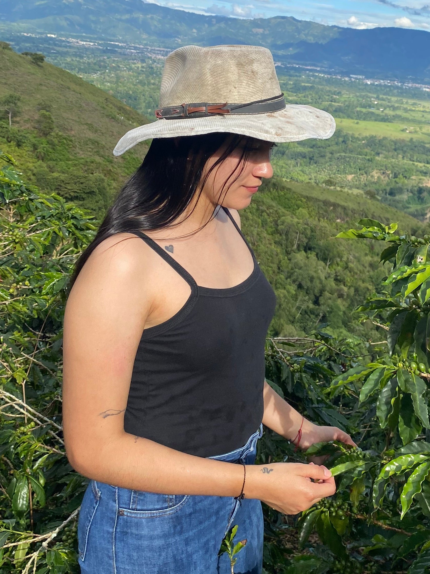 Cofitur Green Coffee Cofitur Karenth Chavarro Vera Richartz Colombia Specialty Coffee