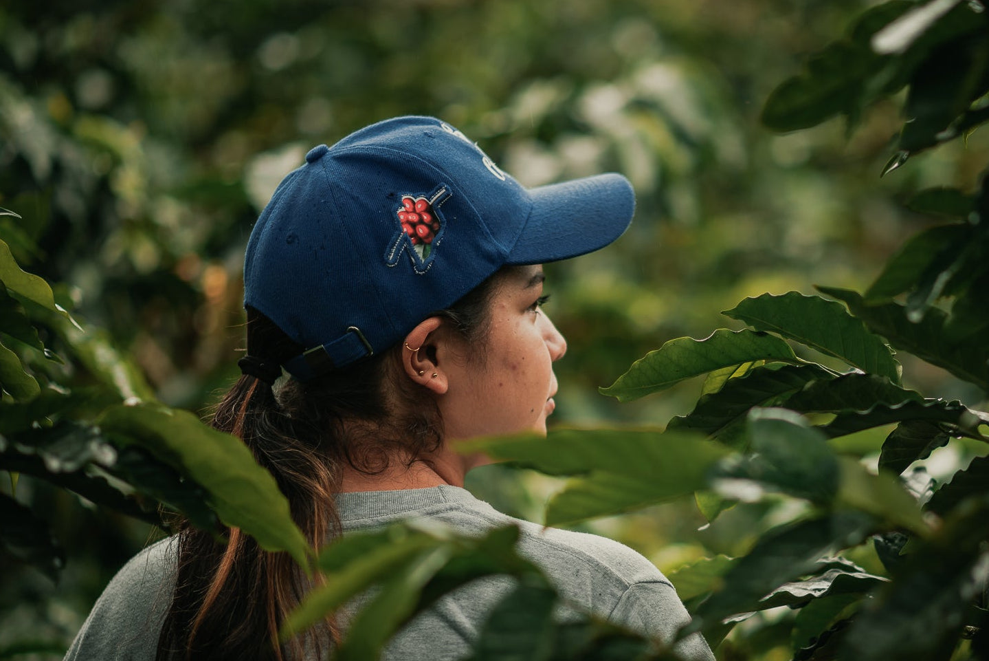 Cofitur Vera Richartz Specialty Coffee Colombia Huila Direct Trade