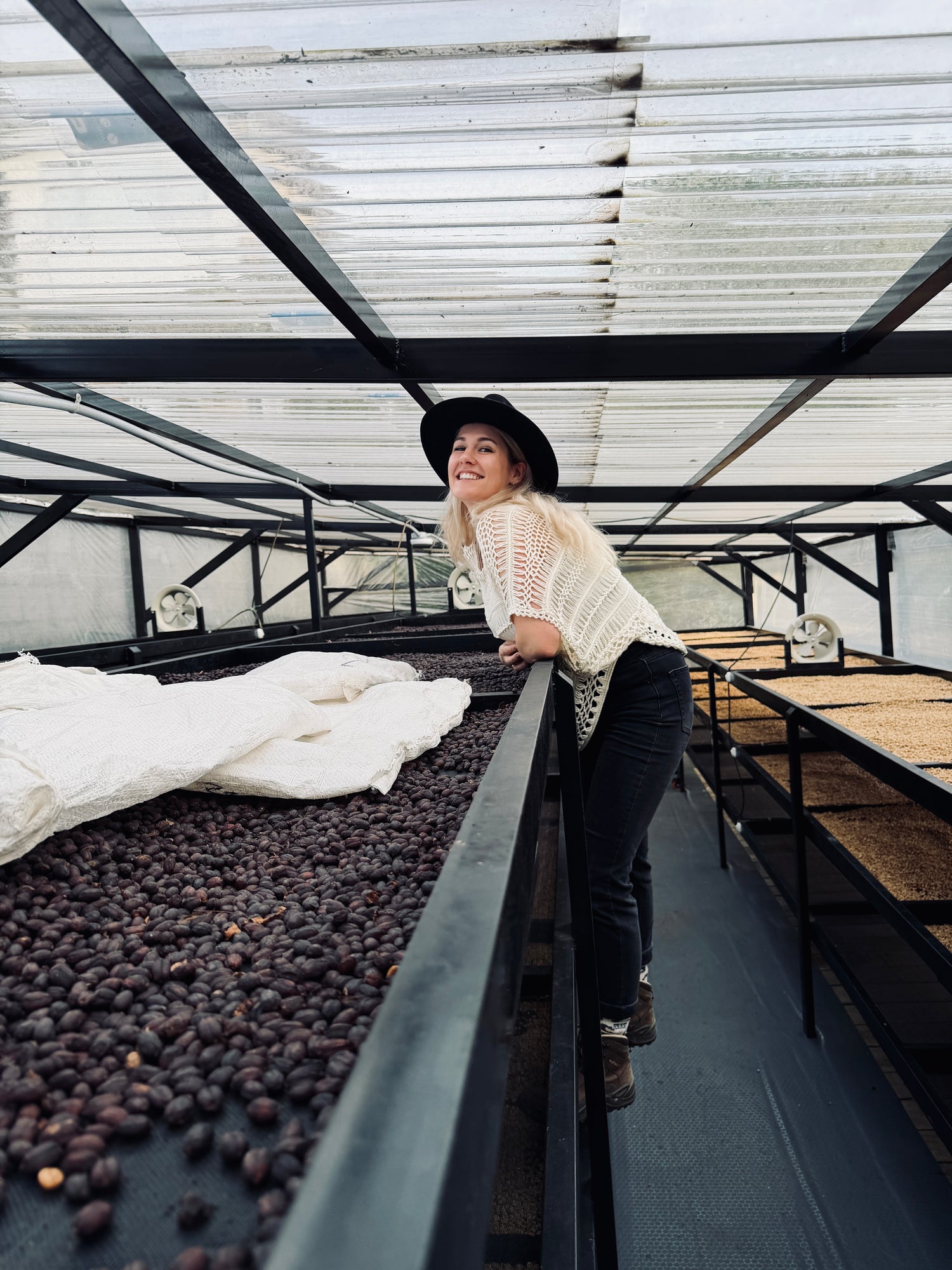 Green Coffee from Colombia Specialty Coffee Direct Trade Vera Richartz Cofitur