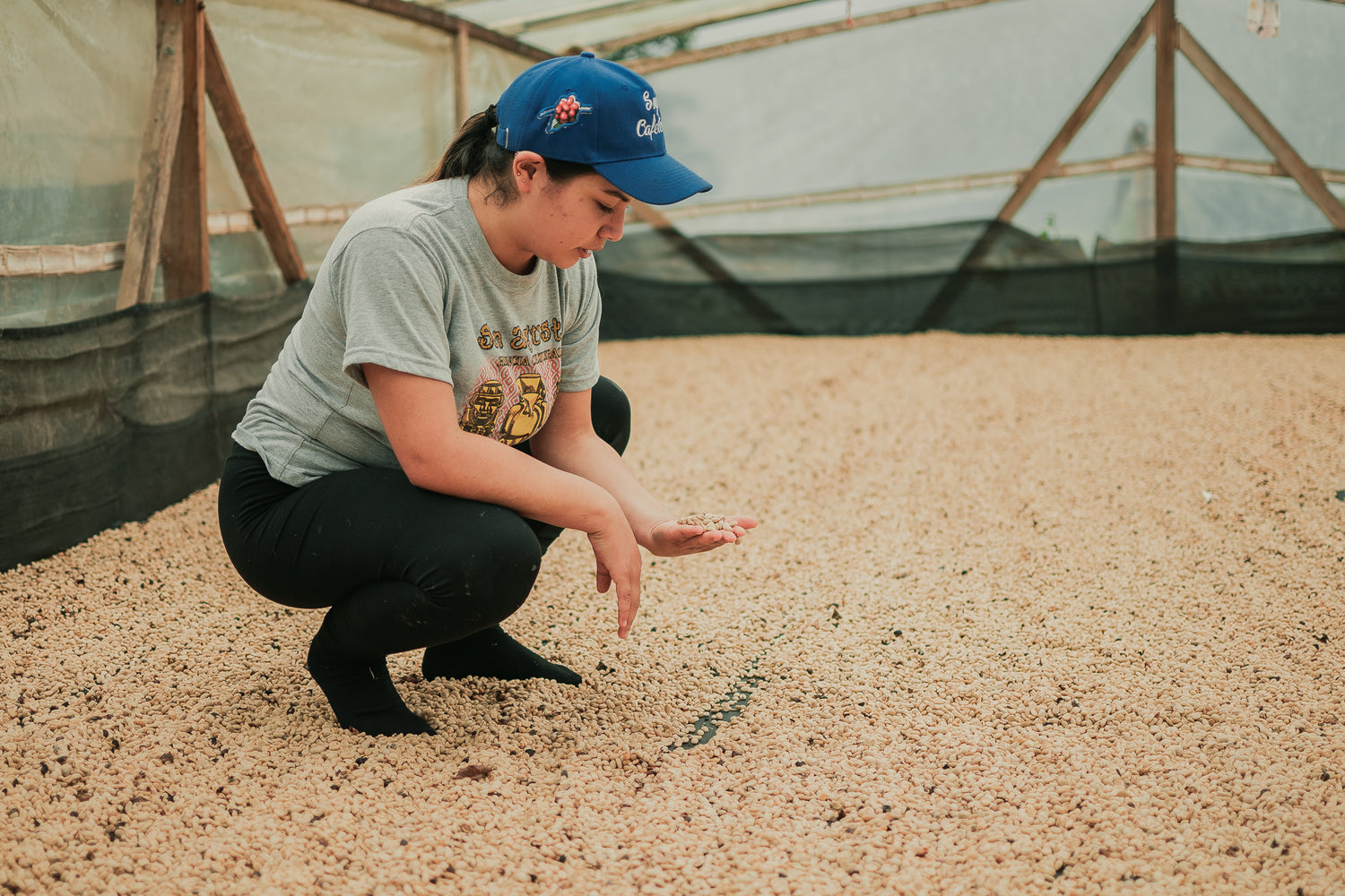 Mayra auf Socken beim Prüfen des getrockneten Rohkaffees – ein stiller Moment der Sorgfalt und Achtsamkeit auf der Cofitur-Finca in Huila, Kolumbien; Origintrips mit Vera Richartz und Frederic Bertolone