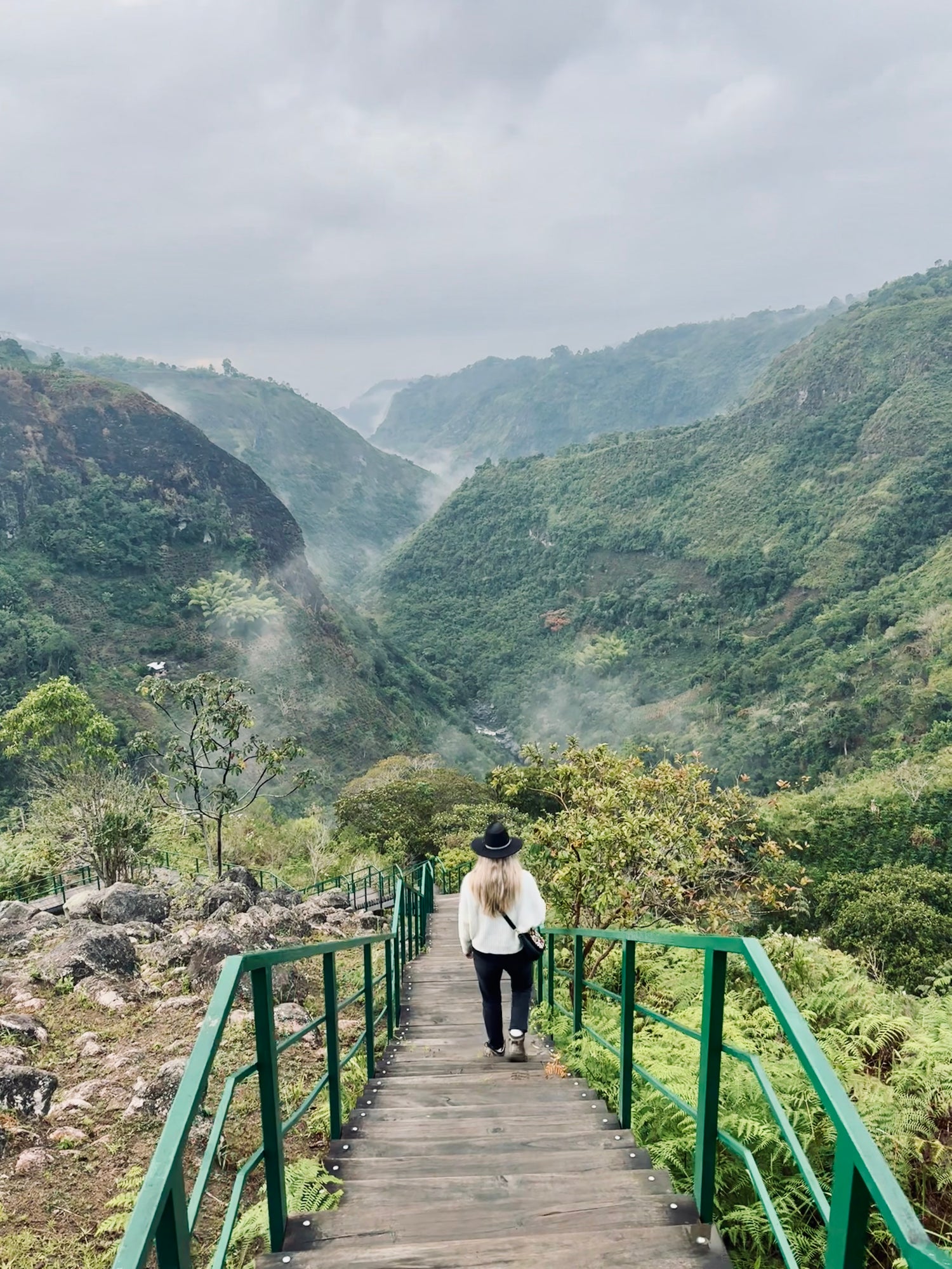 Vera Richartz geht eine Treppe hinab zur Aussichtsplattform über Fluss und Tal im Nebelwald von Huila – Naturerlebnis und Weitblick während einer Cofitur-Kaffeereise, Origintrip